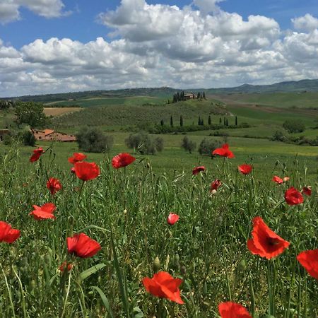 Residenza D'Epoca La Rosa Apartamento Pienza Exterior foto