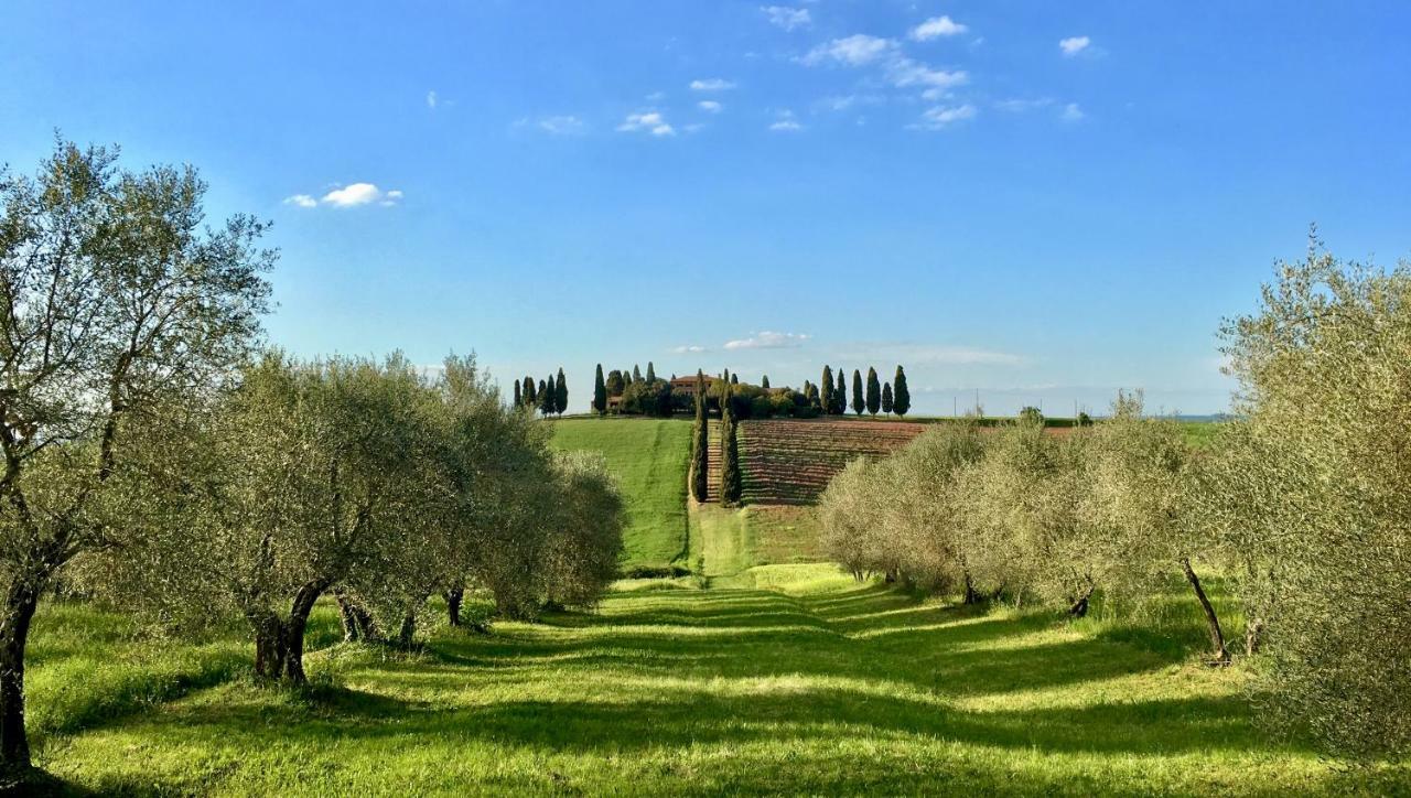 Residenza D'Epoca La Rosa Apartamento Pienza Exterior foto