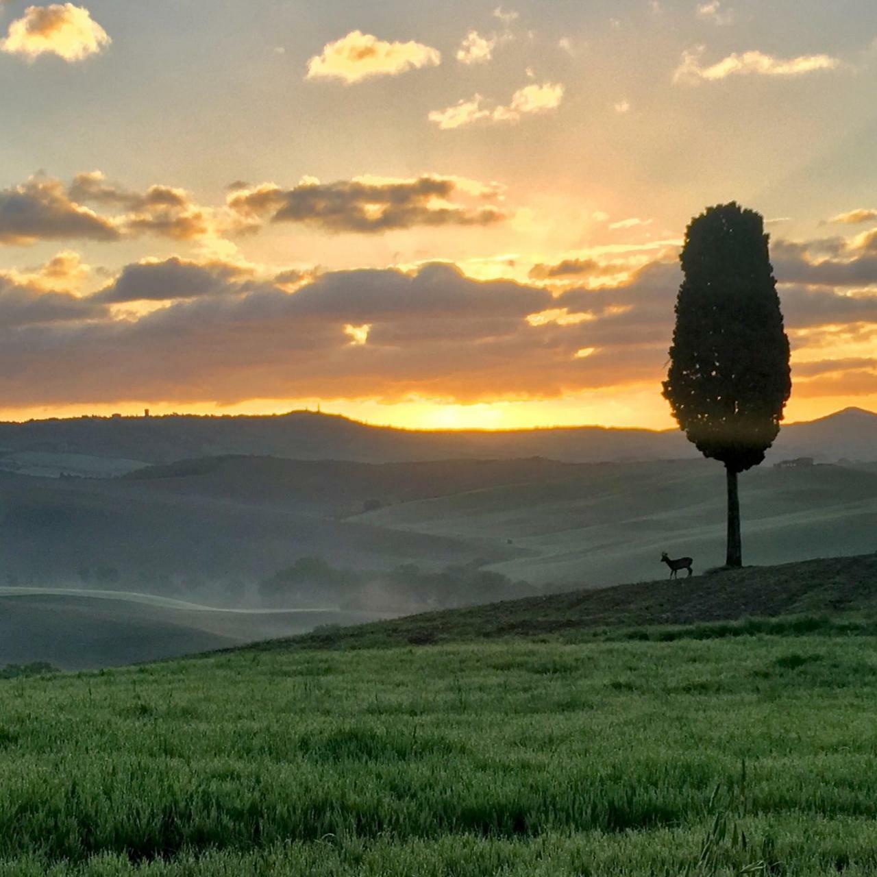 Residenza D'Epoca La Rosa Apartamento Pienza Exterior foto
