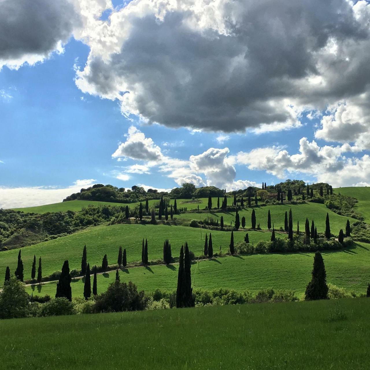 Residenza D'Epoca La Rosa Apartamento Pienza Exterior foto