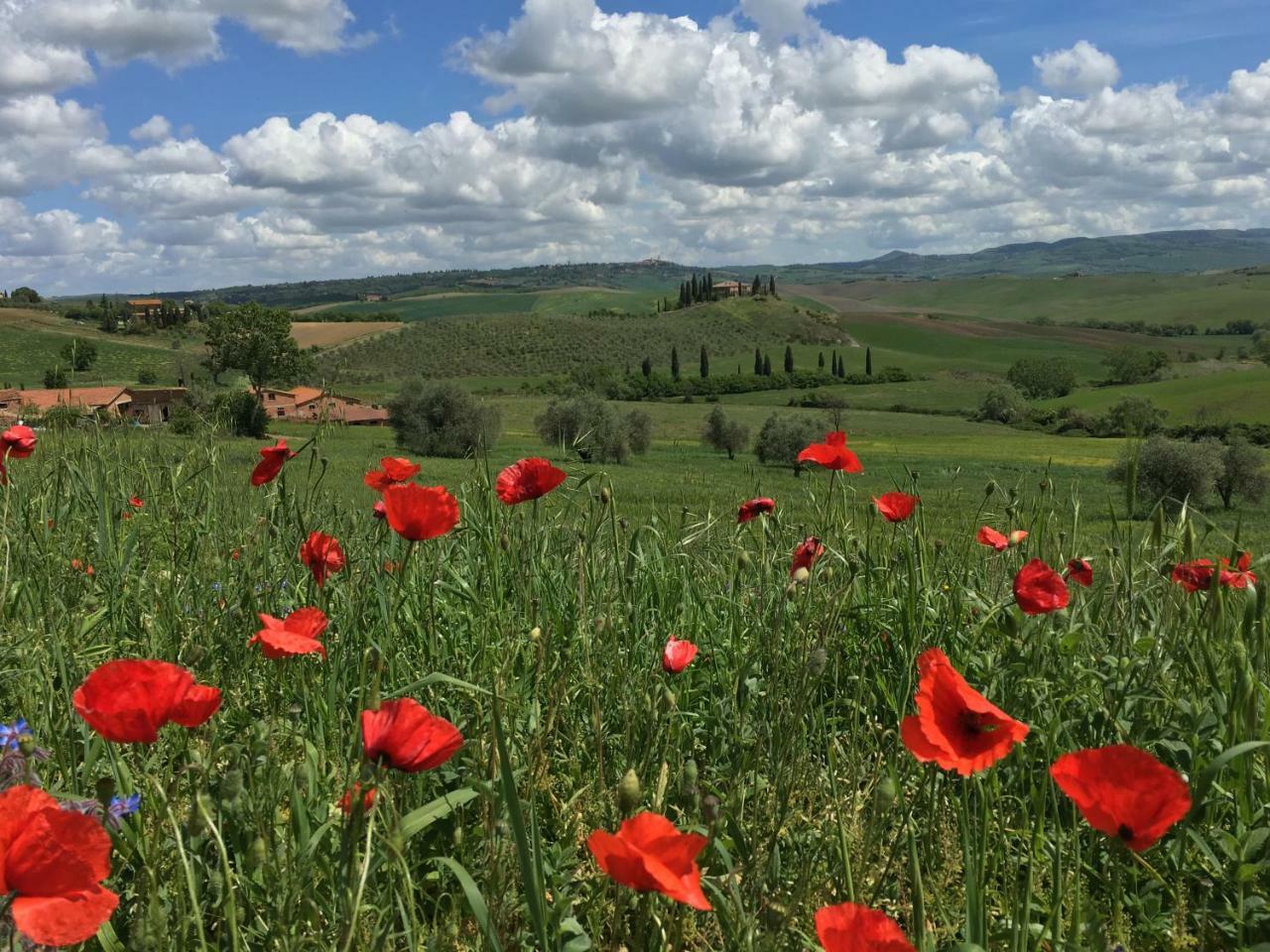 Residenza D'Epoca La Rosa Apartamento Pienza Exterior foto