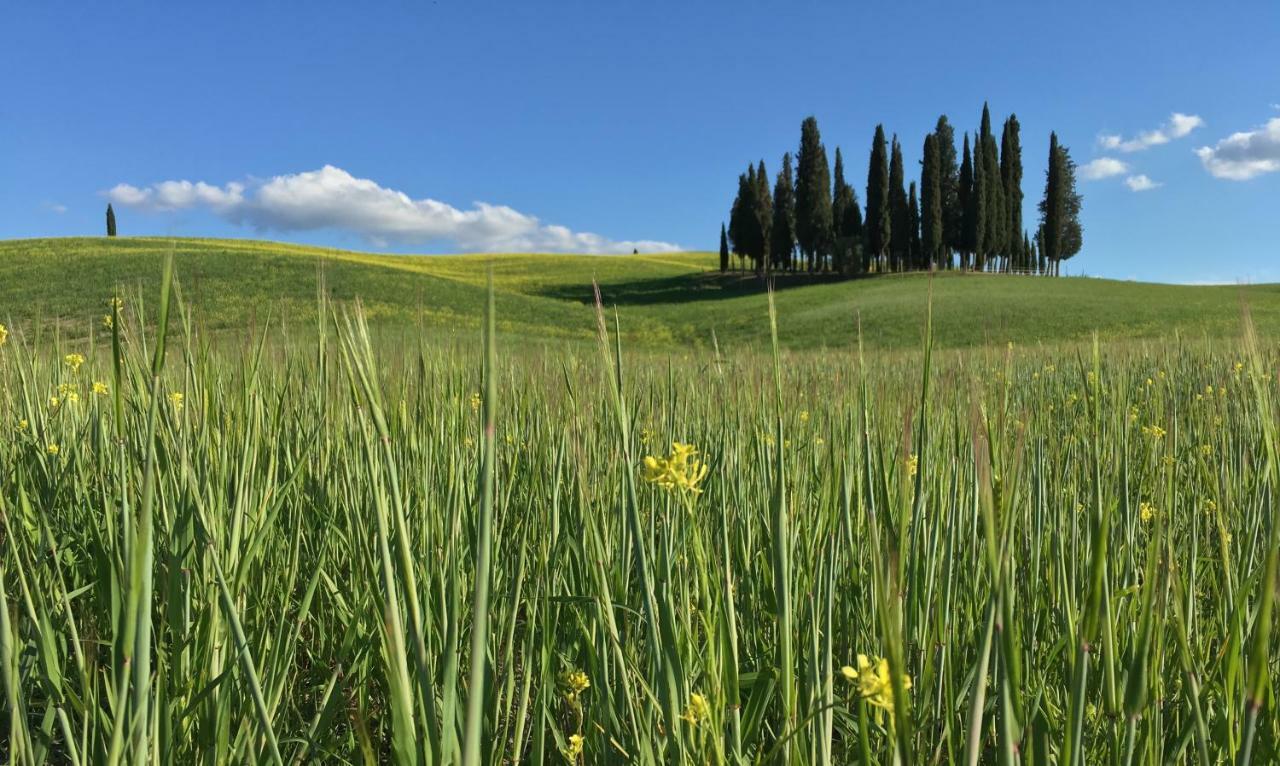 Residenza D'Epoca La Rosa Apartamento Pienza Exterior foto